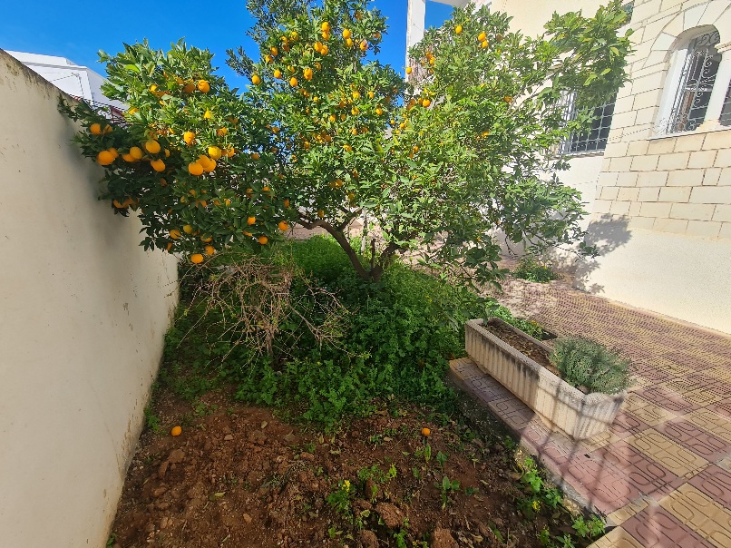 Le Bardo&nbsp;Le Bardo&nbsp;Vente&nbsp;Maisons&nbsp;Maison sur 2 niveaux au bardo wb4446