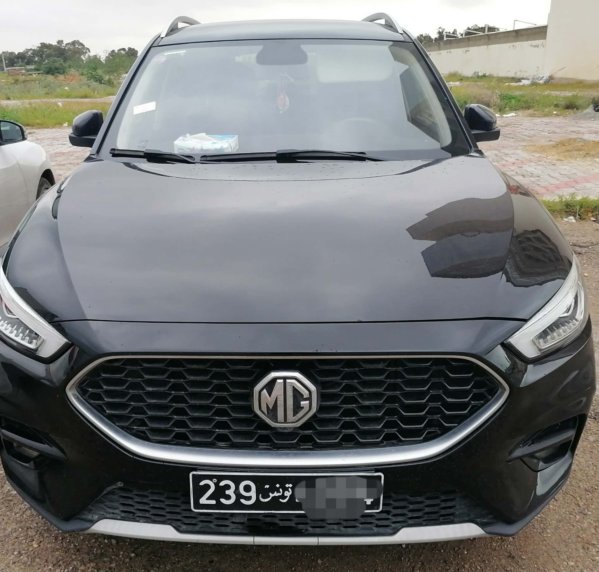Mg&nbsp;ZS