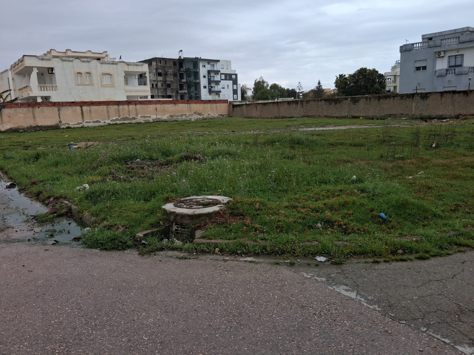 Terrain&nbsp;Terrain nu