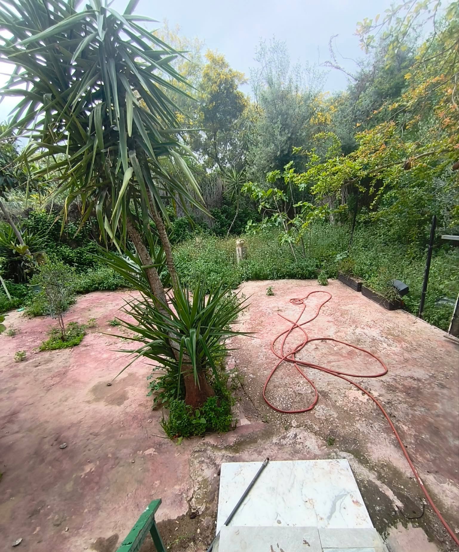 El Menzah&nbsp;El Menzah 1&nbsp;Location&nbsp;Appart. 4 pi�ces&nbsp;S3 meuble avec jardin a el menzah 1