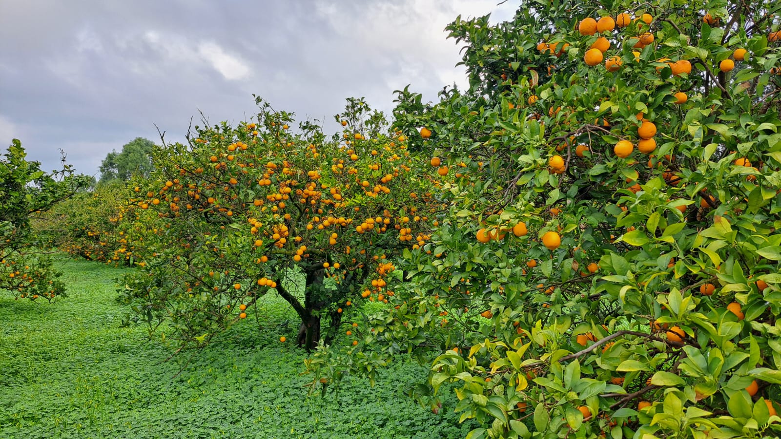 Location&nbsp;Surfaces