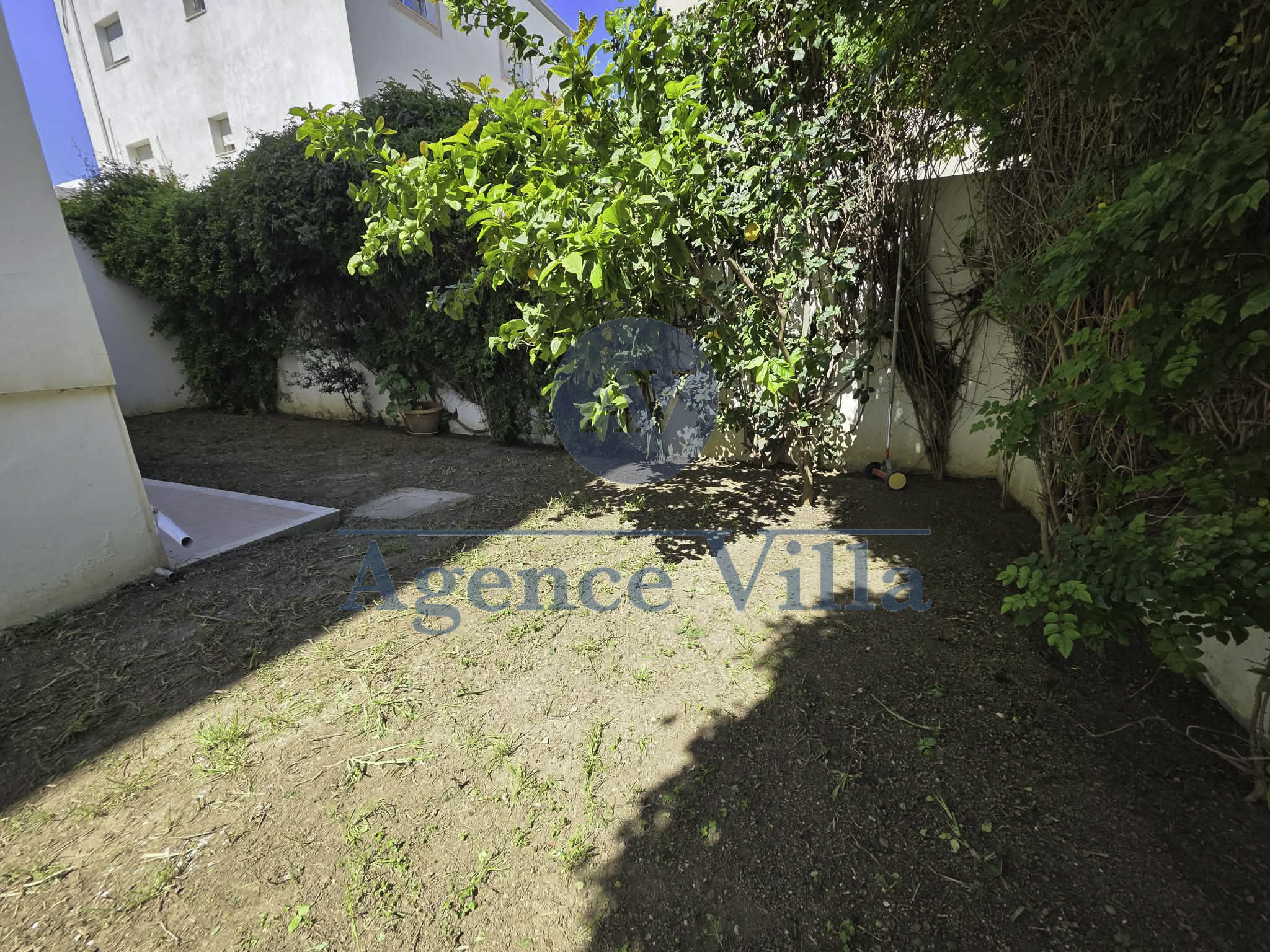 Carthage&nbsp;Carthage&nbsp;Location&nbsp;Appart. 3 pi�ces&nbsp;Appartement s2 avec jardin � jardin de carthage