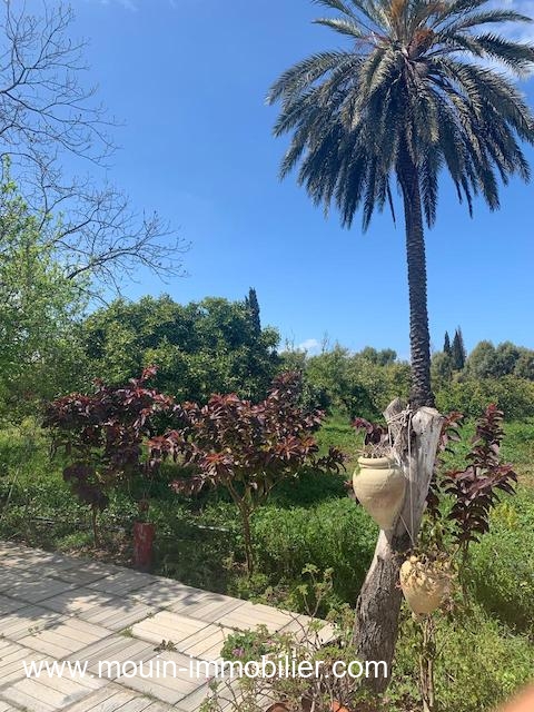 Terrain&nbsp;Terrain agricole