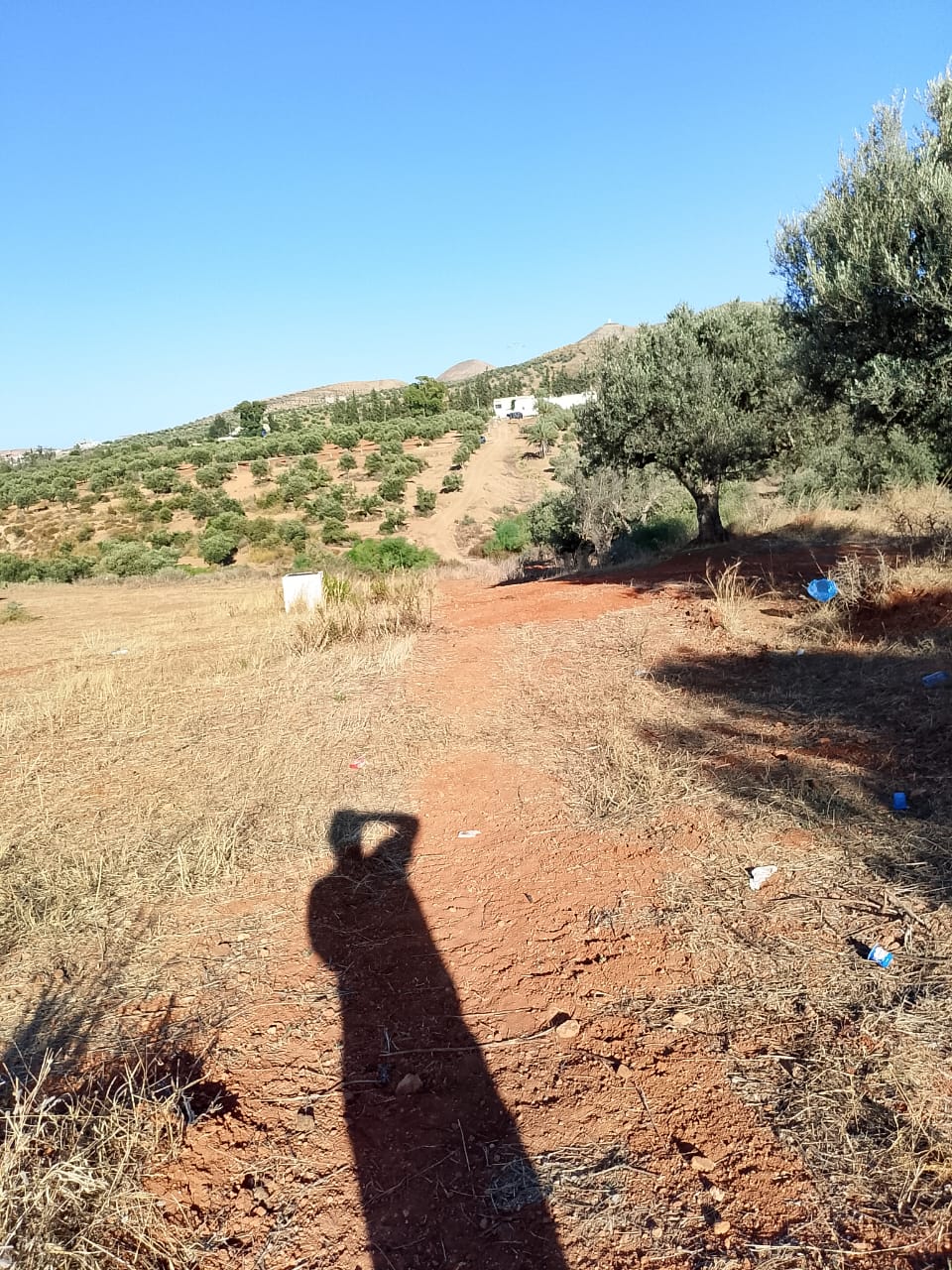 Sidi Thabet&nbsp;Sidi Thabet&nbsp;Terrain&nbsp;Terrain agricole&nbsp;1 hectare � sidi thabet
