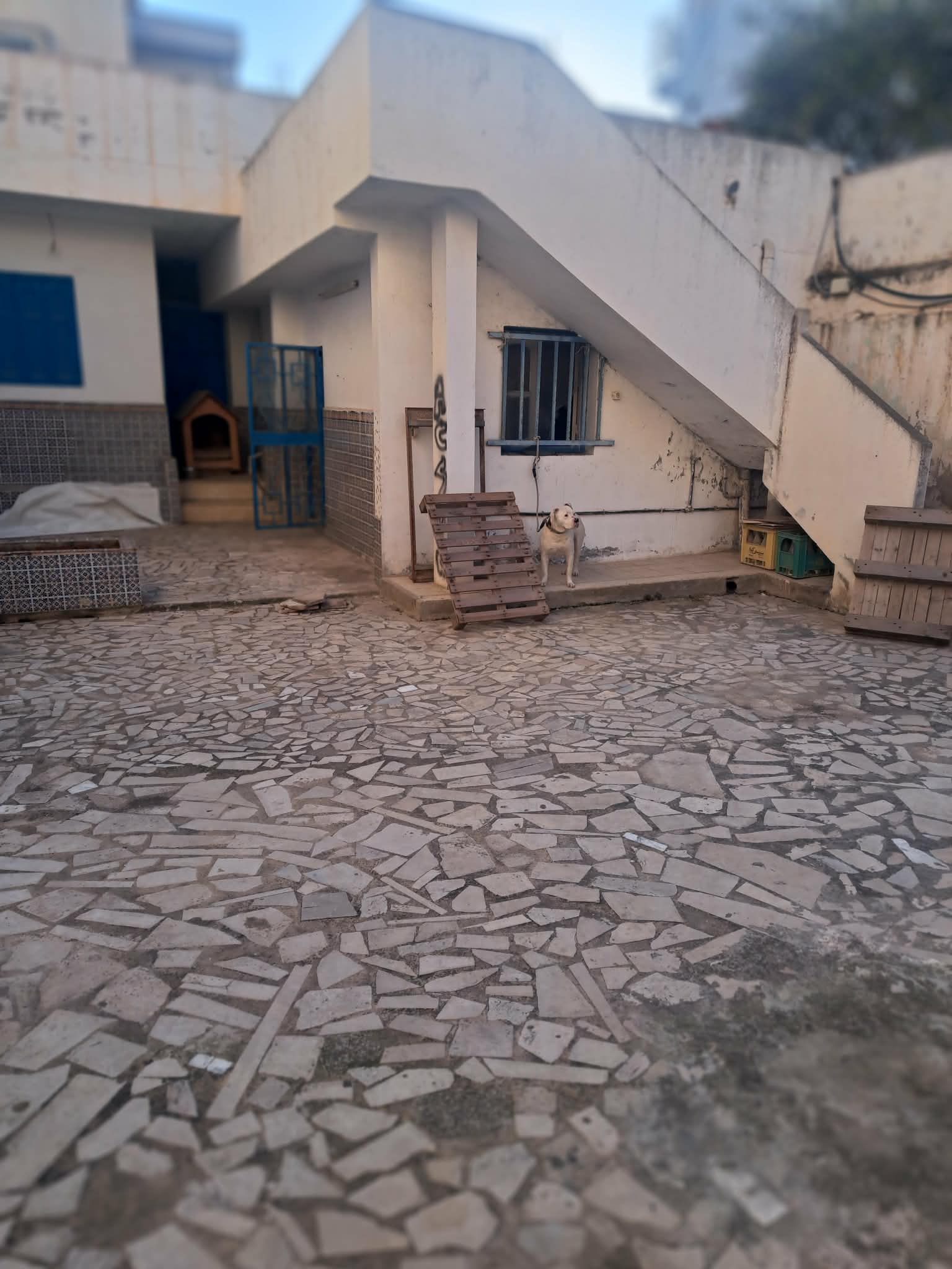 Ariana Ville&nbsp;Ariana&nbsp;Vente&nbsp;Appart. 4 pi�ces&nbsp;Maison avec fort potentiel � l'ariana