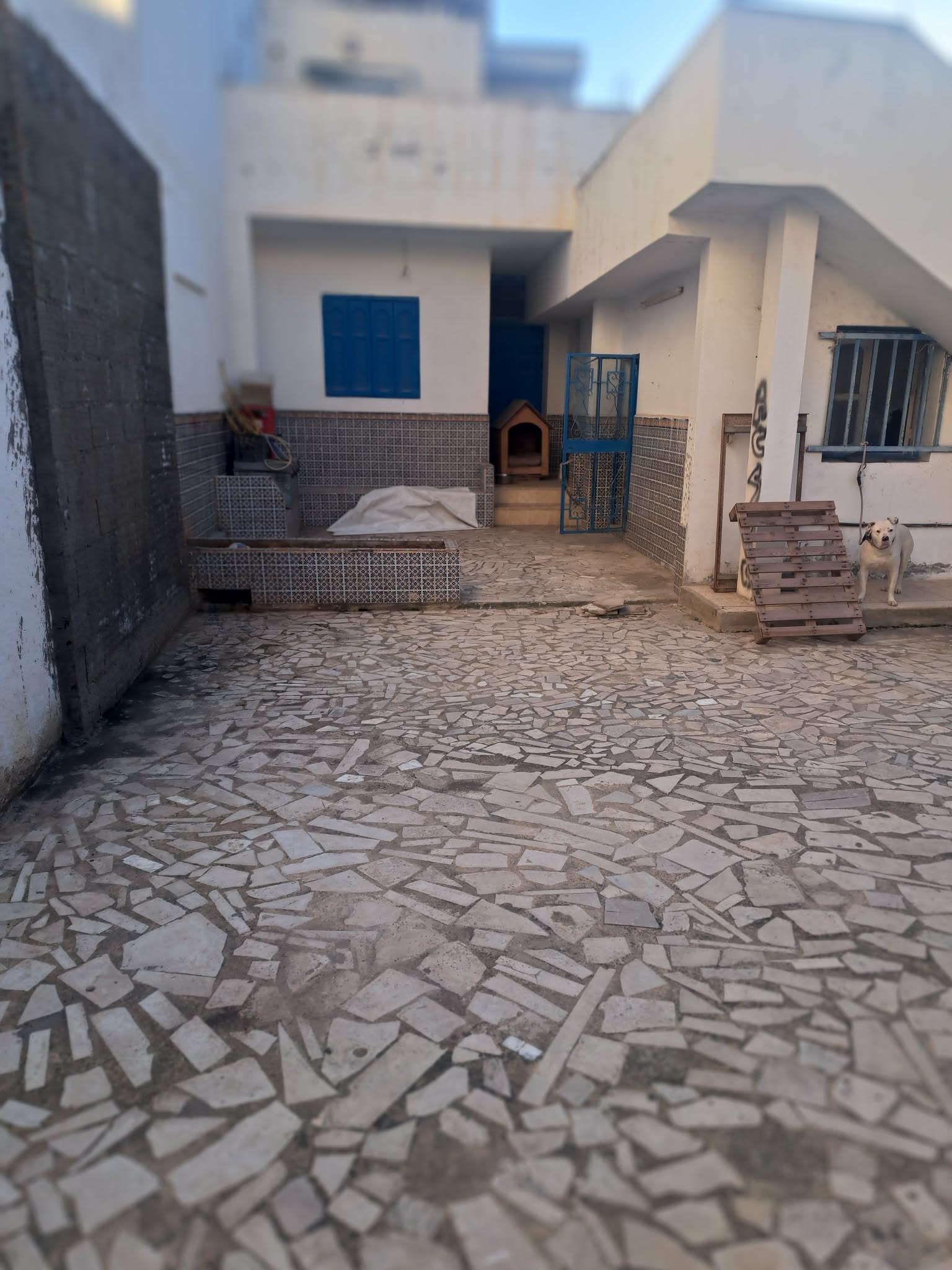 Ariana Ville&nbsp;Ariana&nbsp;Vente&nbsp;Appart. 4 pi�ces&nbsp;Maison avec fort potentiel � l'ariana