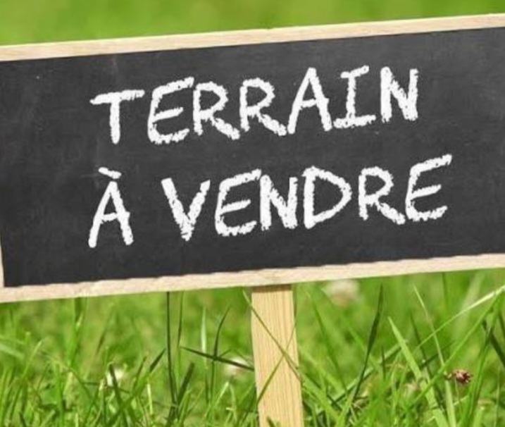 Terrain&nbsp;Terrain nu