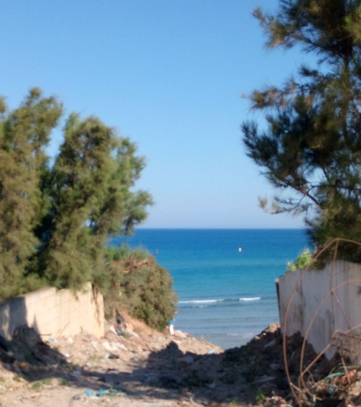 Terrain&nbsp;Terrain nu