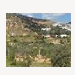 Terrain&nbsp;Terrain nu