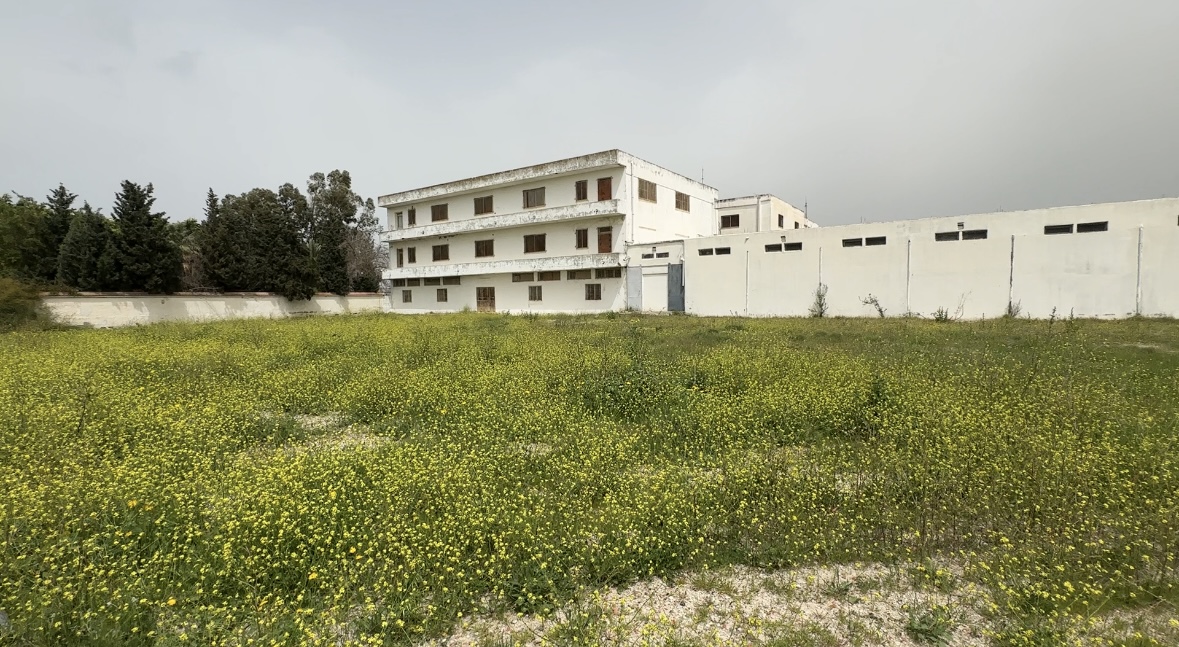 Soliman&nbsp;Soliman&nbsp;Terrain&nbsp;Terrain nu&nbsp;Terrain 1 594 sur avenue principale soliman