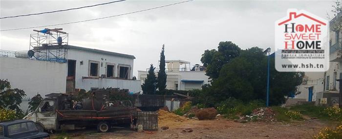 Terrain&nbsp;Terrain nu