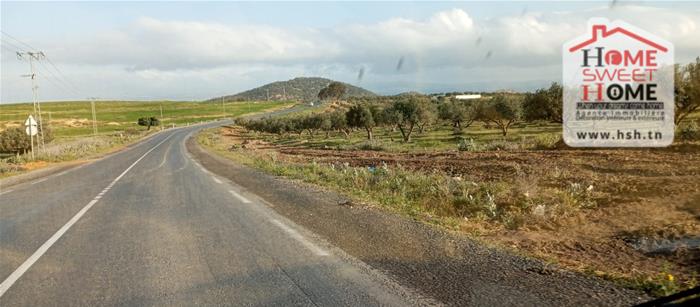 Terrain&nbsp;Terrain agricole