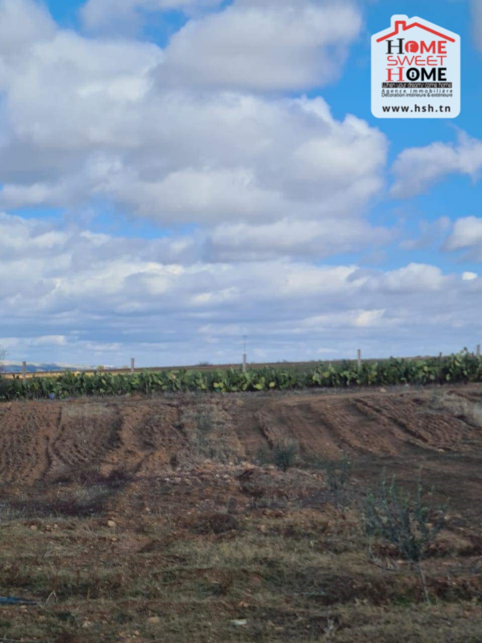 Le Kef Est&nbsp;Le Kef&nbsp;Terrain&nbsp;Terrain agricole&nbsp;Terrain agricole iyad kef