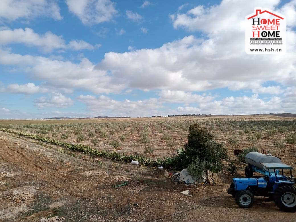 Le Kef Est&nbsp;Le Kef&nbsp;Terrain&nbsp;Terrain agricole&nbsp;Terrain agricole iyad kef