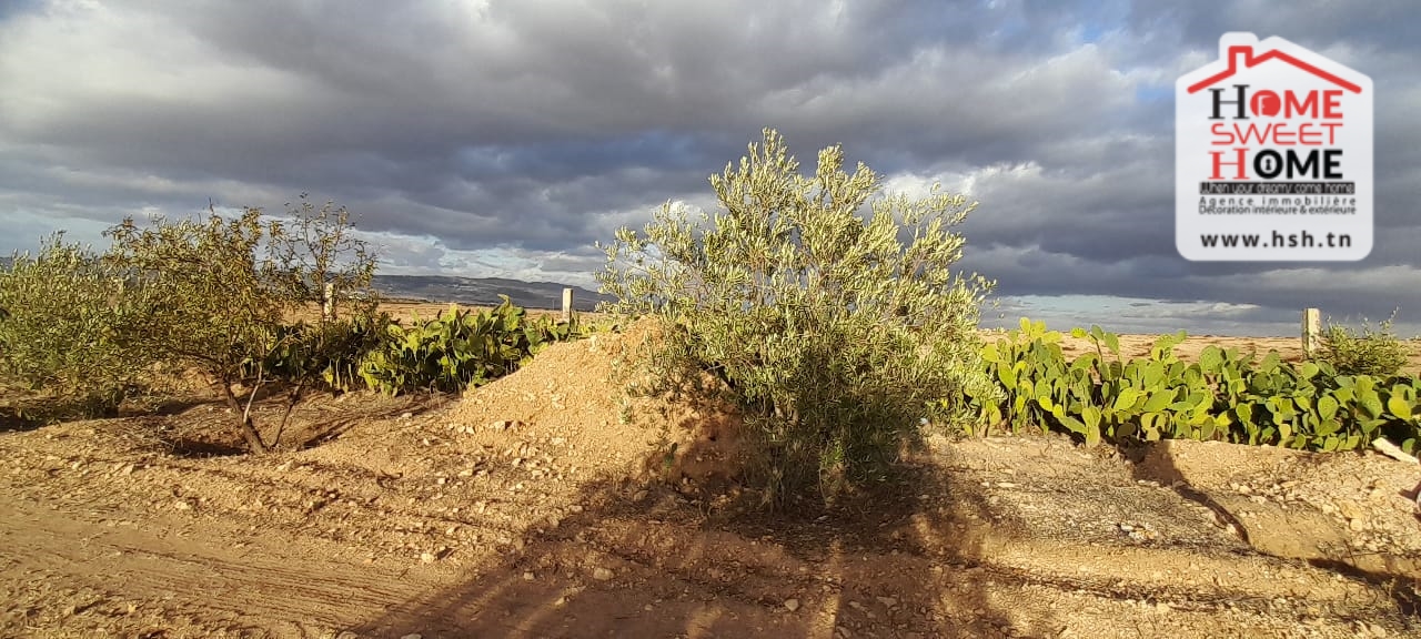 Terrain&nbsp;Terrain agricole