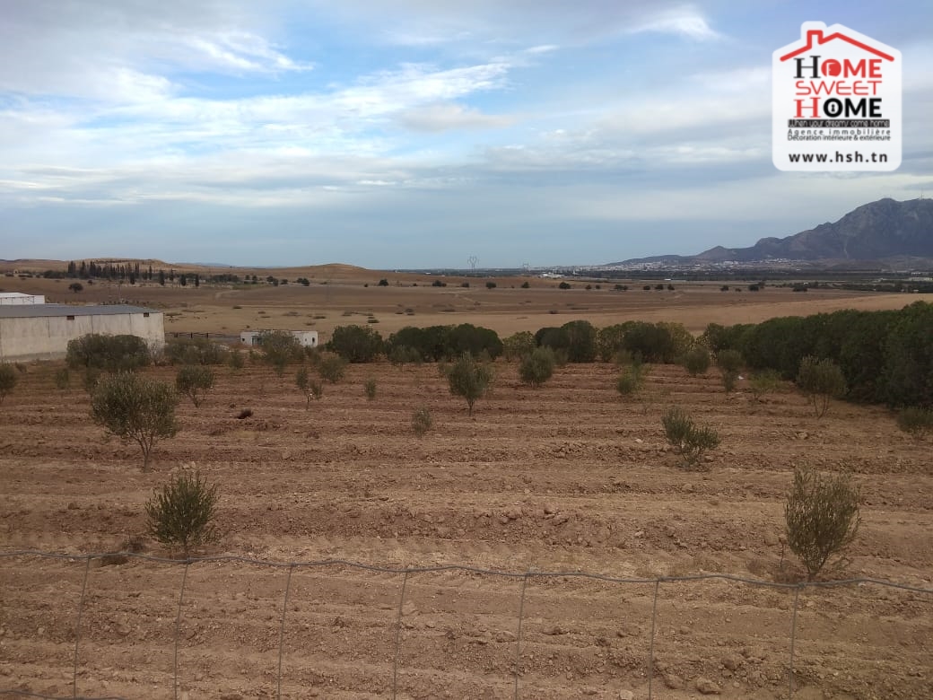 Terrain&nbsp;Terrain agricole