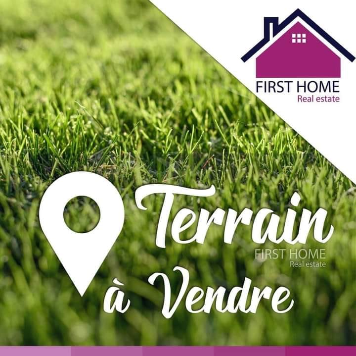 Terrain&nbsp;Terrain nu