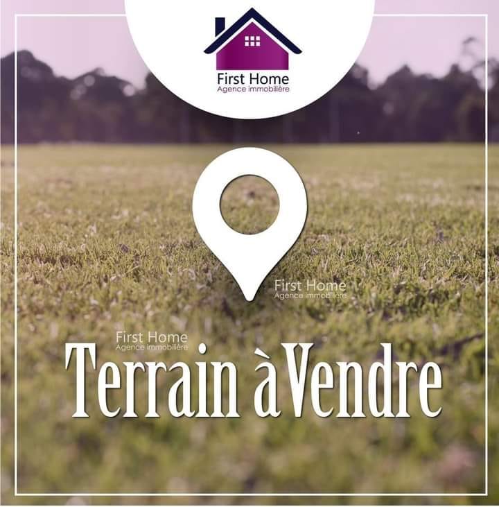 Terrain&nbsp;Terrain nu