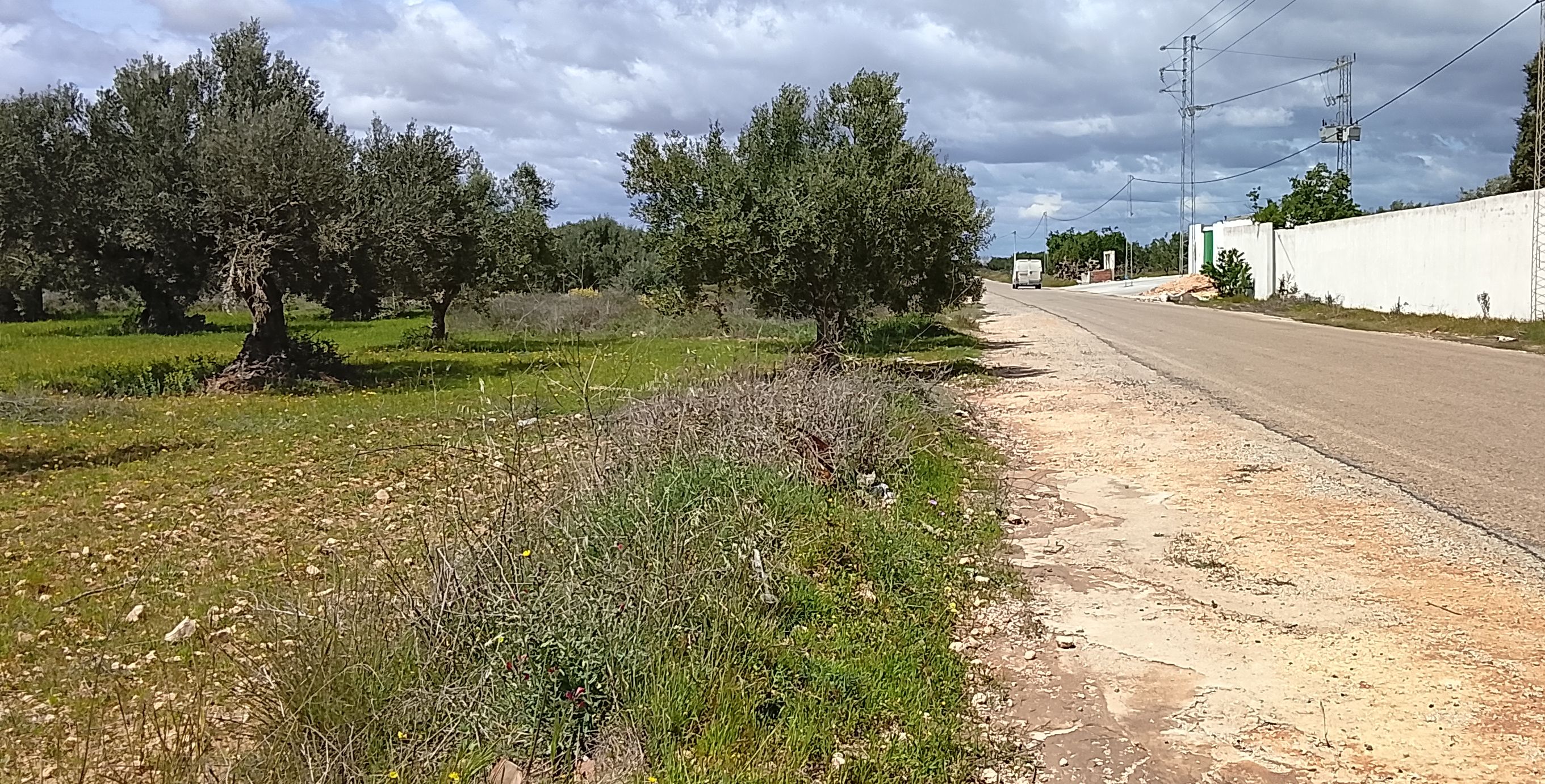 Terrain&nbsp;Terrain agricole