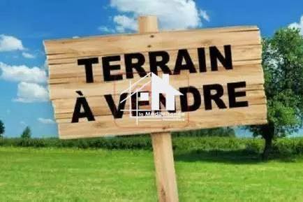 Terrain&nbsp;Terrain nu