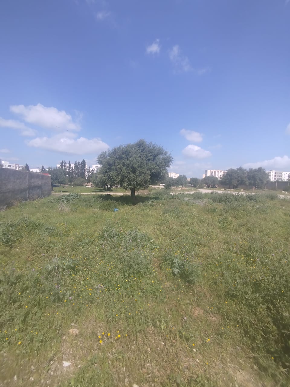 Mannouba&nbsp;La Mannouba&nbsp;Vente&nbsp;Surfaces&nbsp;Un lot de terrain de 460m2 � mannouba