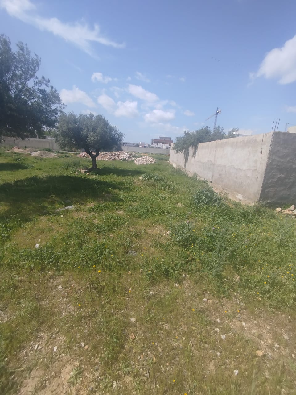 Mannouba&nbsp;La Mannouba&nbsp;Vente&nbsp;Surfaces&nbsp;Un lot de terrain de 460m2 � mannouba