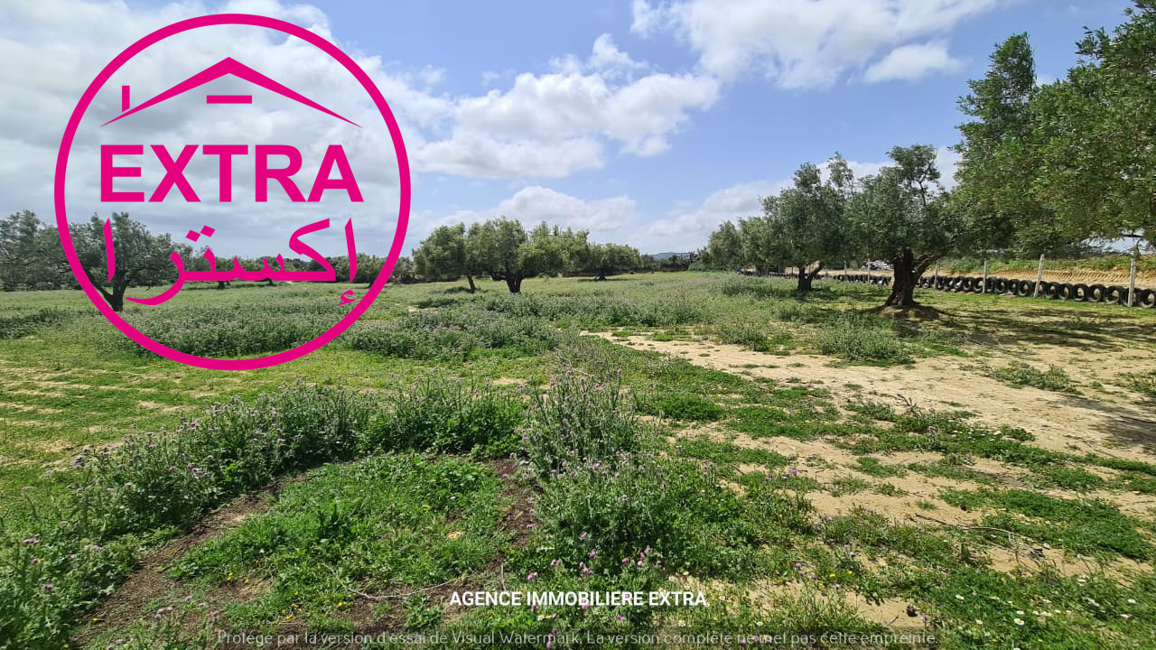 Terrain&nbsp;Terrain agricole