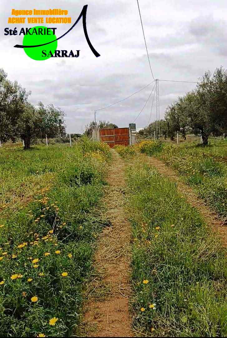 Sidi Bou Ali&nbsp;Sidi Bou Ali&nbsp;Terrain&nbsp;Terrain agricole&nbsp;Terrain 4060m pas loin dar zitouna � sidi bouali