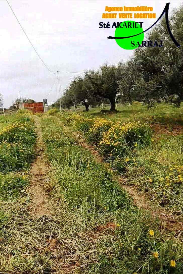 Terrain&nbsp;Terrain agricole