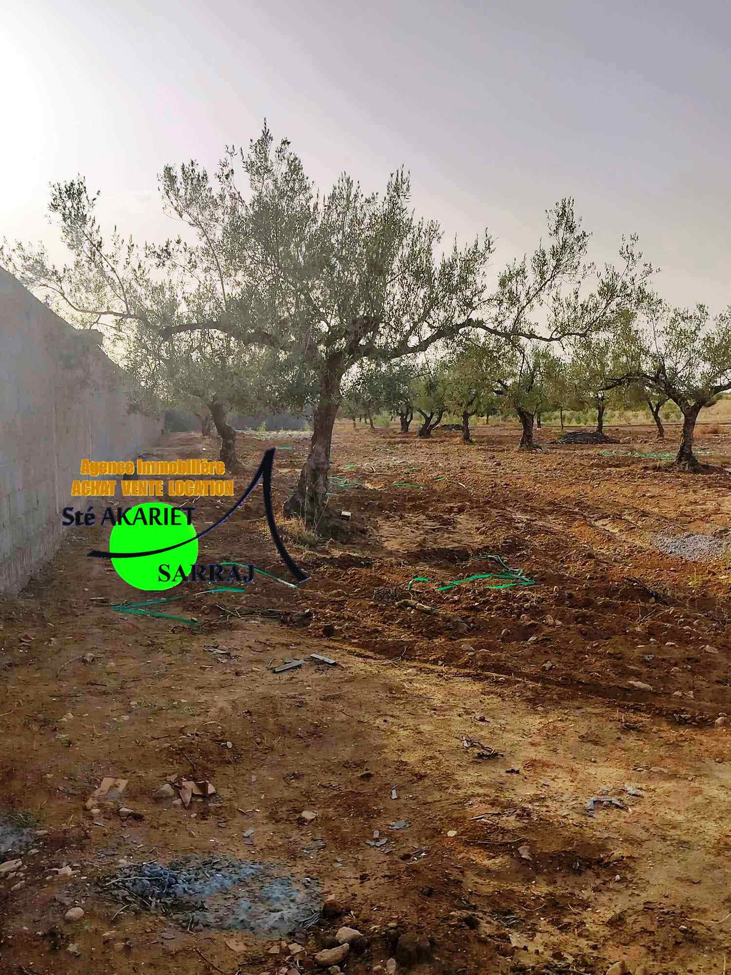 Sidi Bou Ali&nbsp;Sidi Bou Ali&nbsp;Terrain&nbsp;Terrain agricole&nbsp;Terrain agricole cl�tur� 6500m sidi bouali hotmen