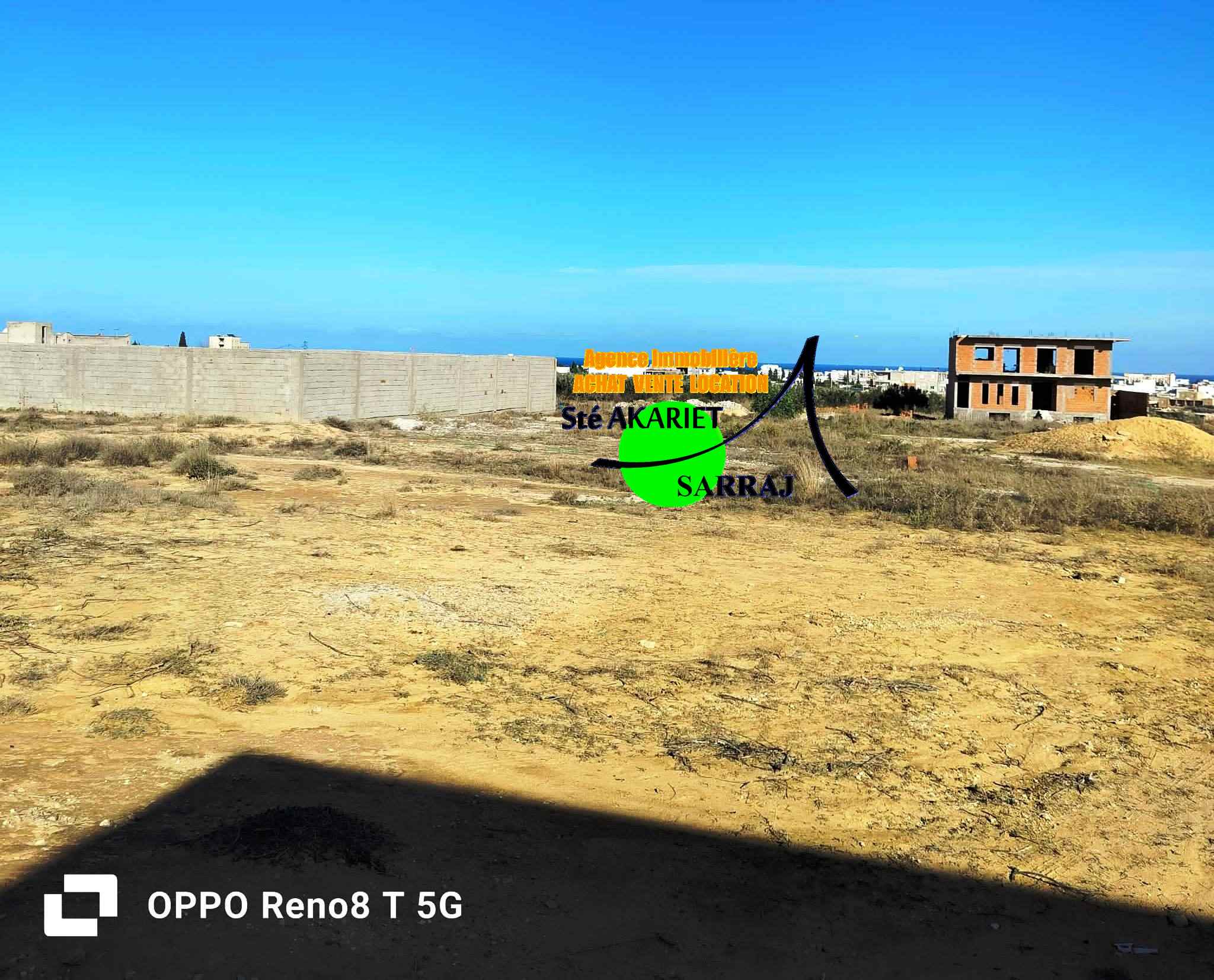 Terrain&nbsp;Terrain nu