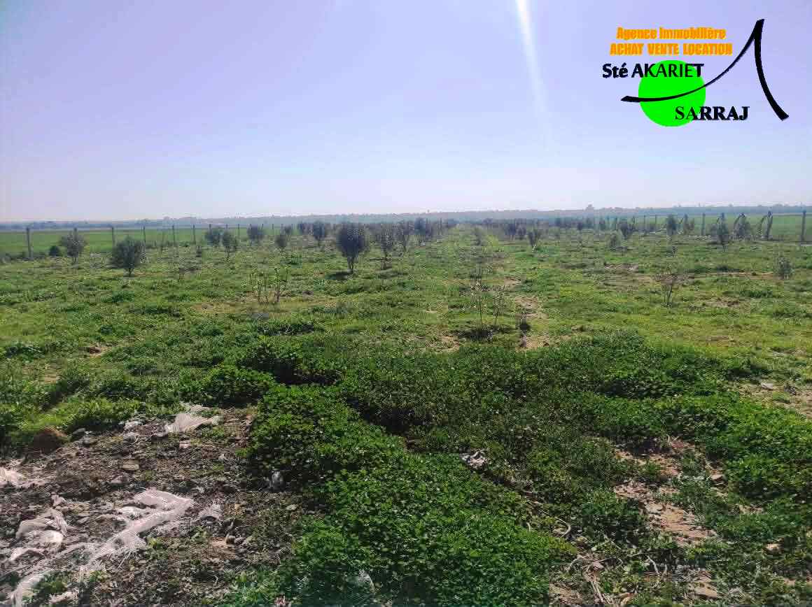 Terrain&nbsp;Terrain agricole