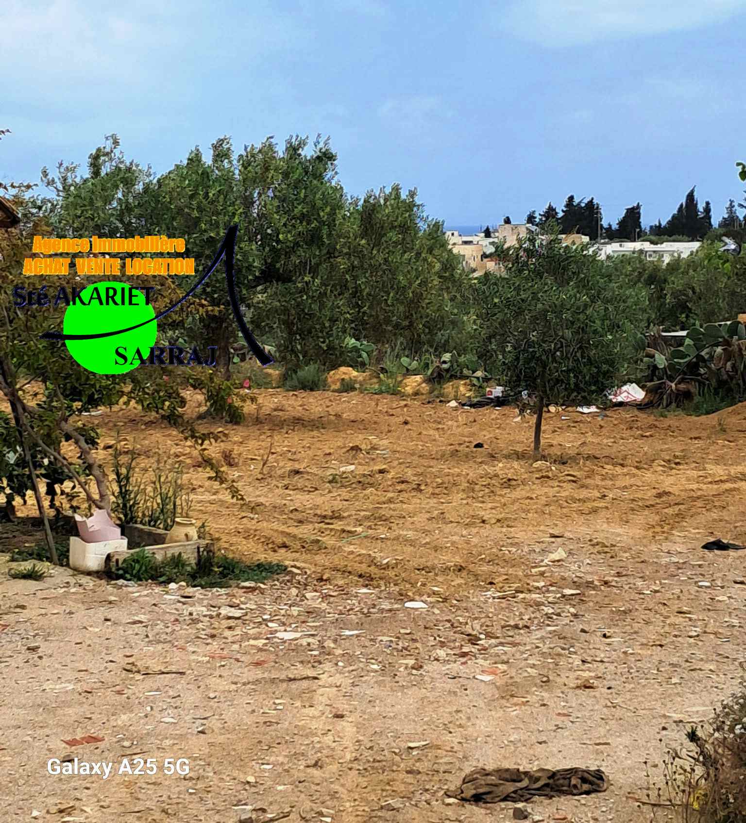 Akouda&nbsp;Chatt Meriem&nbsp;Terrain&nbsp;Terrain agricole&nbsp;Terrain 12000m pas loin de koussour gharnata