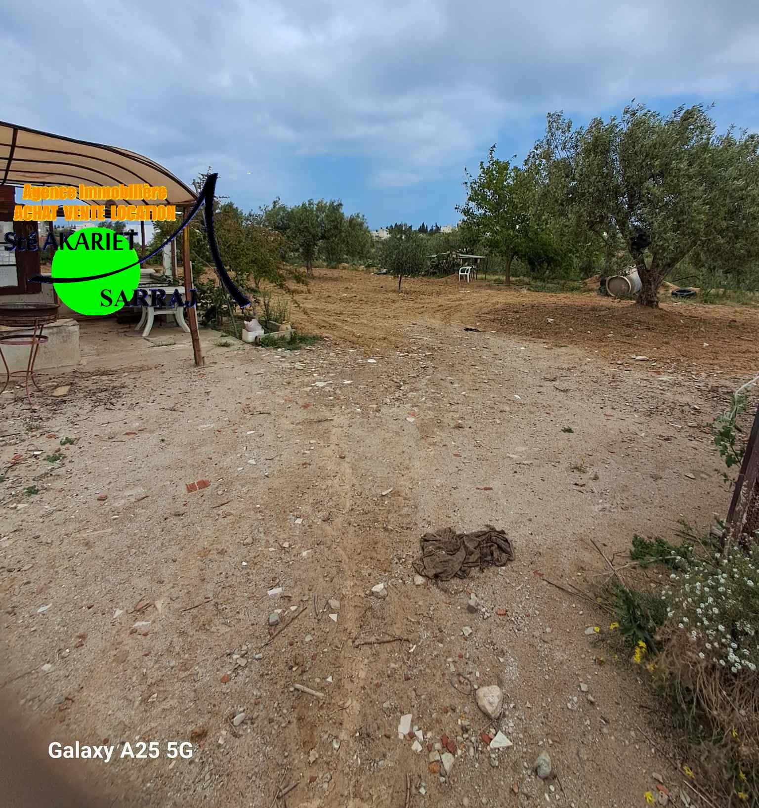 Terrain&nbsp;Terrain agricole