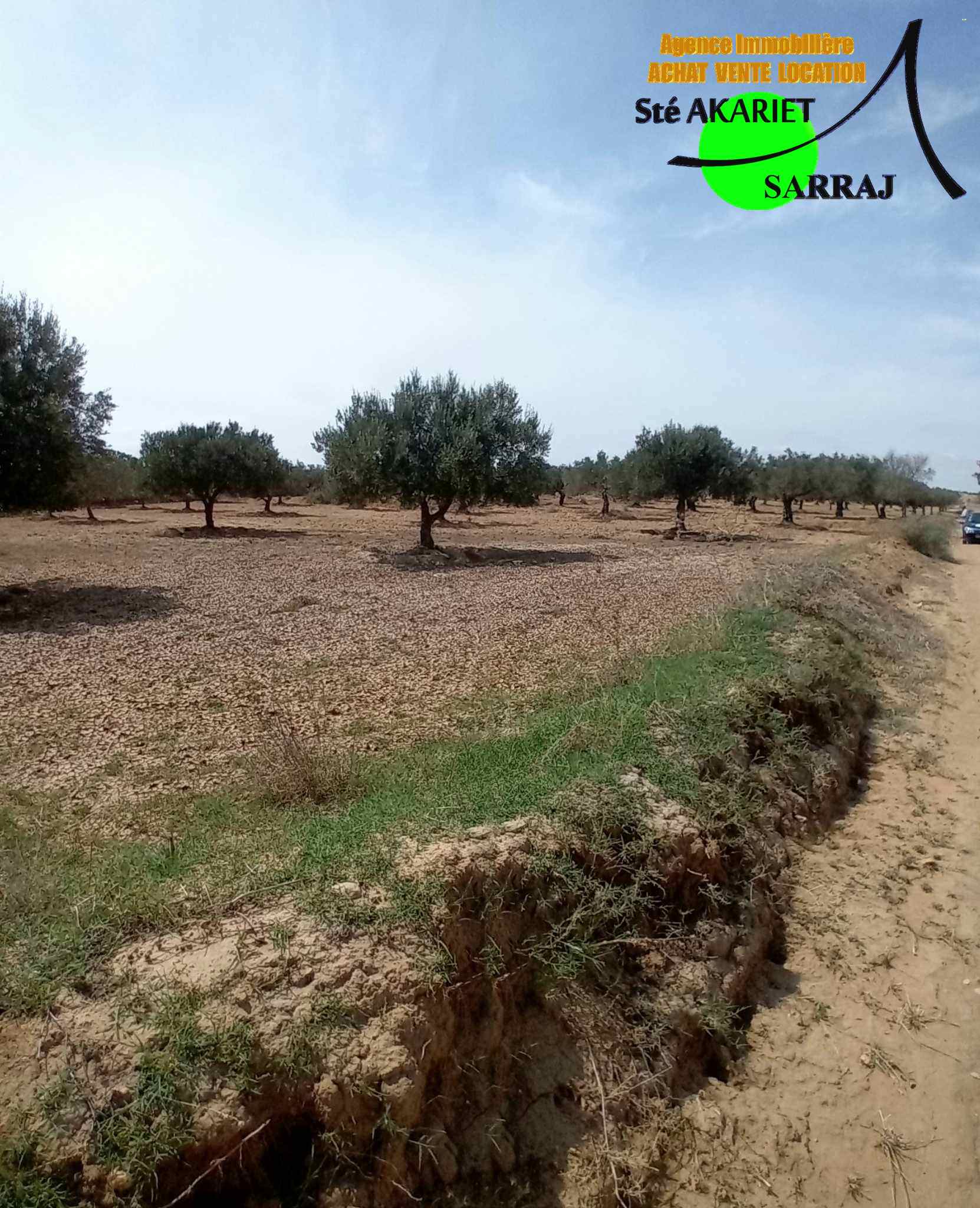 Akouda&nbsp;Chatt Meriem&nbsp;Terrain&nbsp;Terrain agricole&nbsp;Offre � ne pas rater terrain 3066m � fokaia