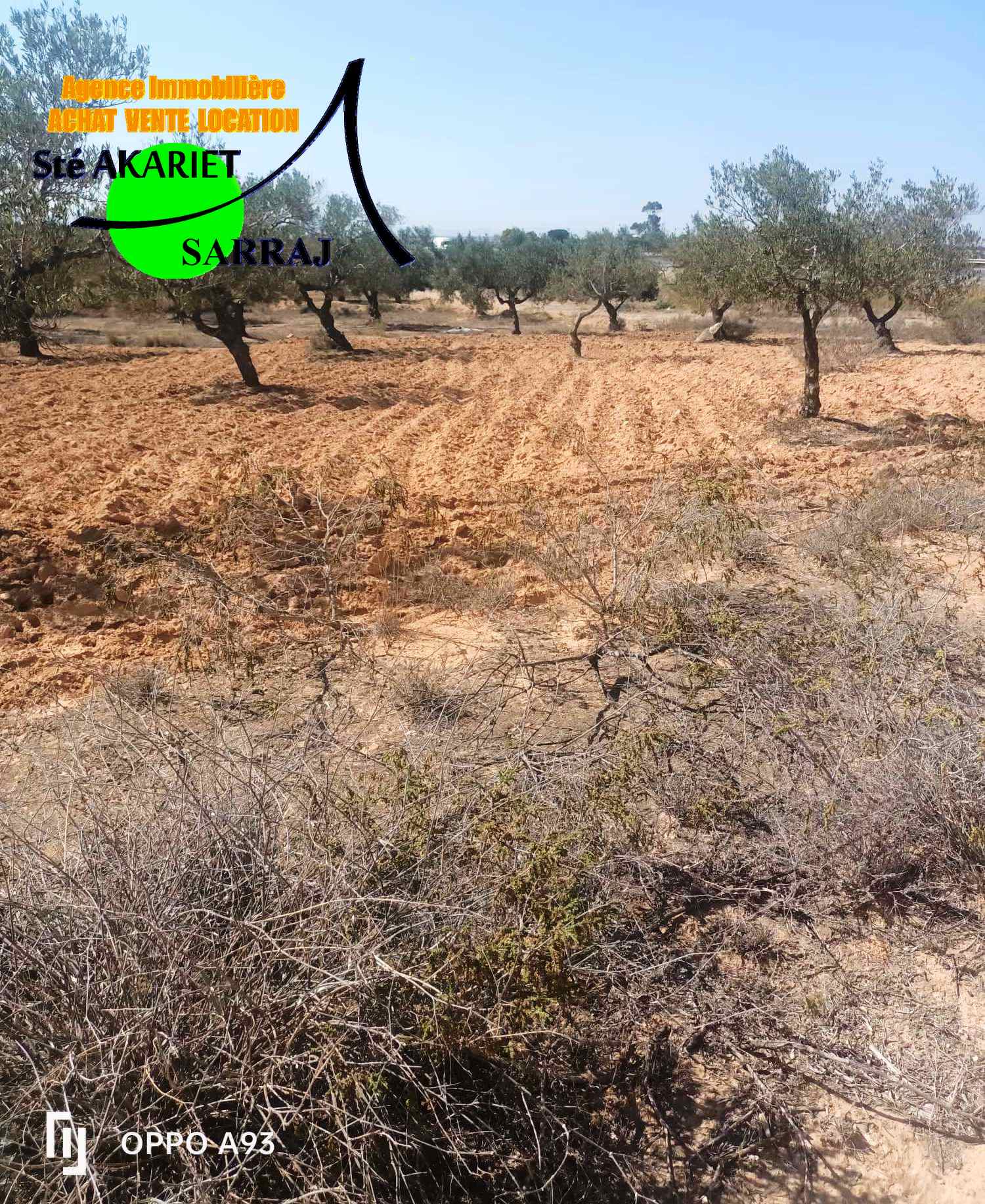 Akouda&nbsp;Chatt Meriem&nbsp;Terrain&nbsp;Terrain agricole&nbsp;Lot d'invesstisement 5615m sur l'autoroute fokaia