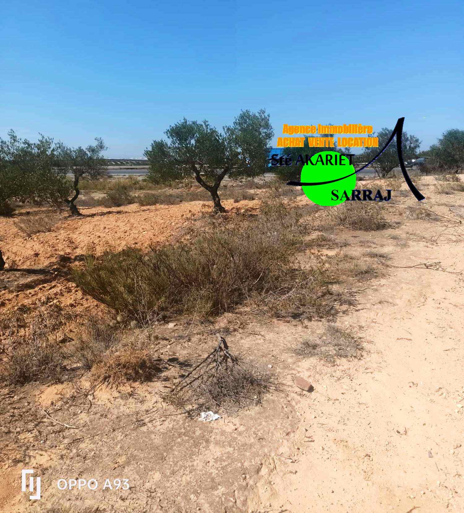 Terrain&nbsp;Terrain agricole