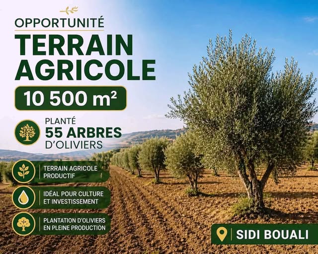 Terrain&nbsp;Terrain agricole