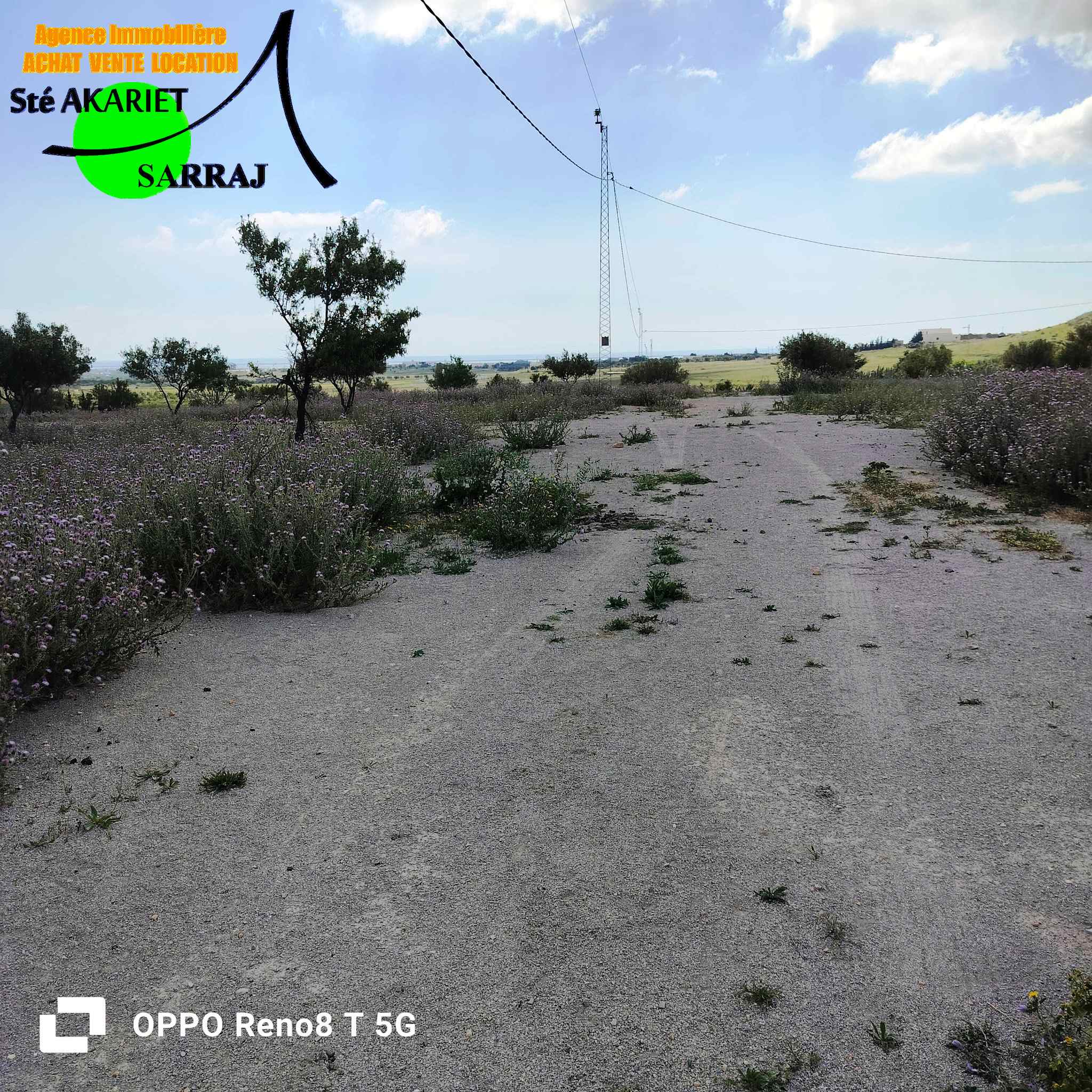 Terrain&nbsp;Terrain agricole