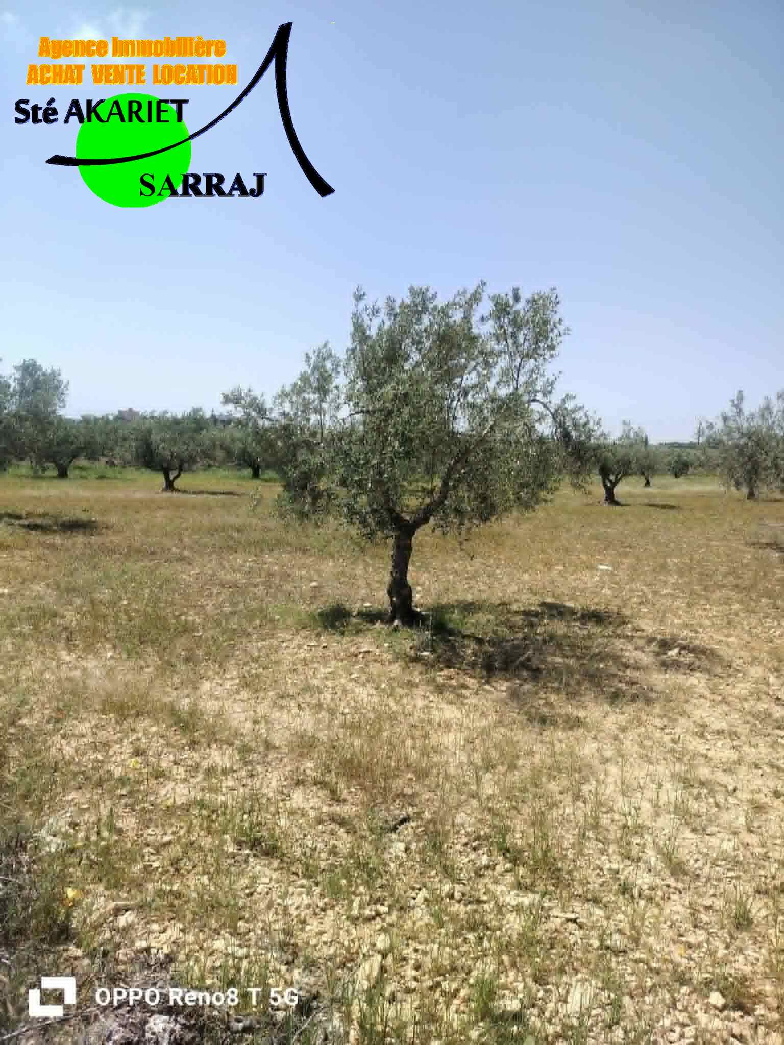 Terrain&nbsp;Terrain agricole