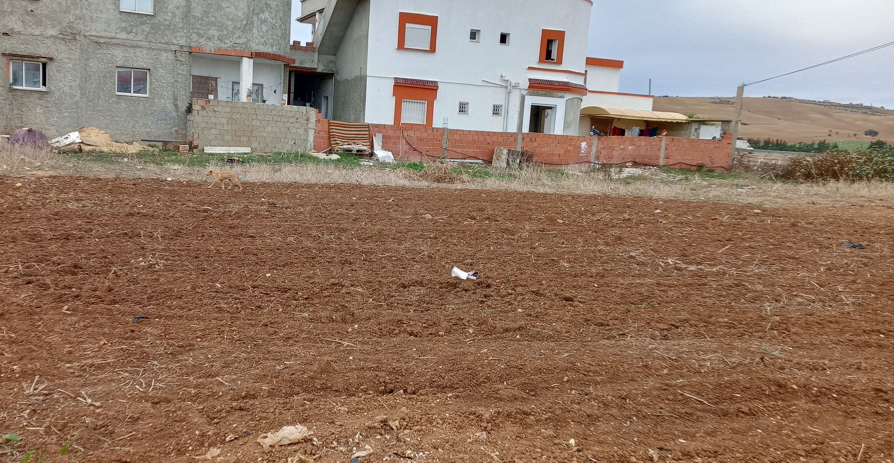 Terrain&nbsp;Terrain nu