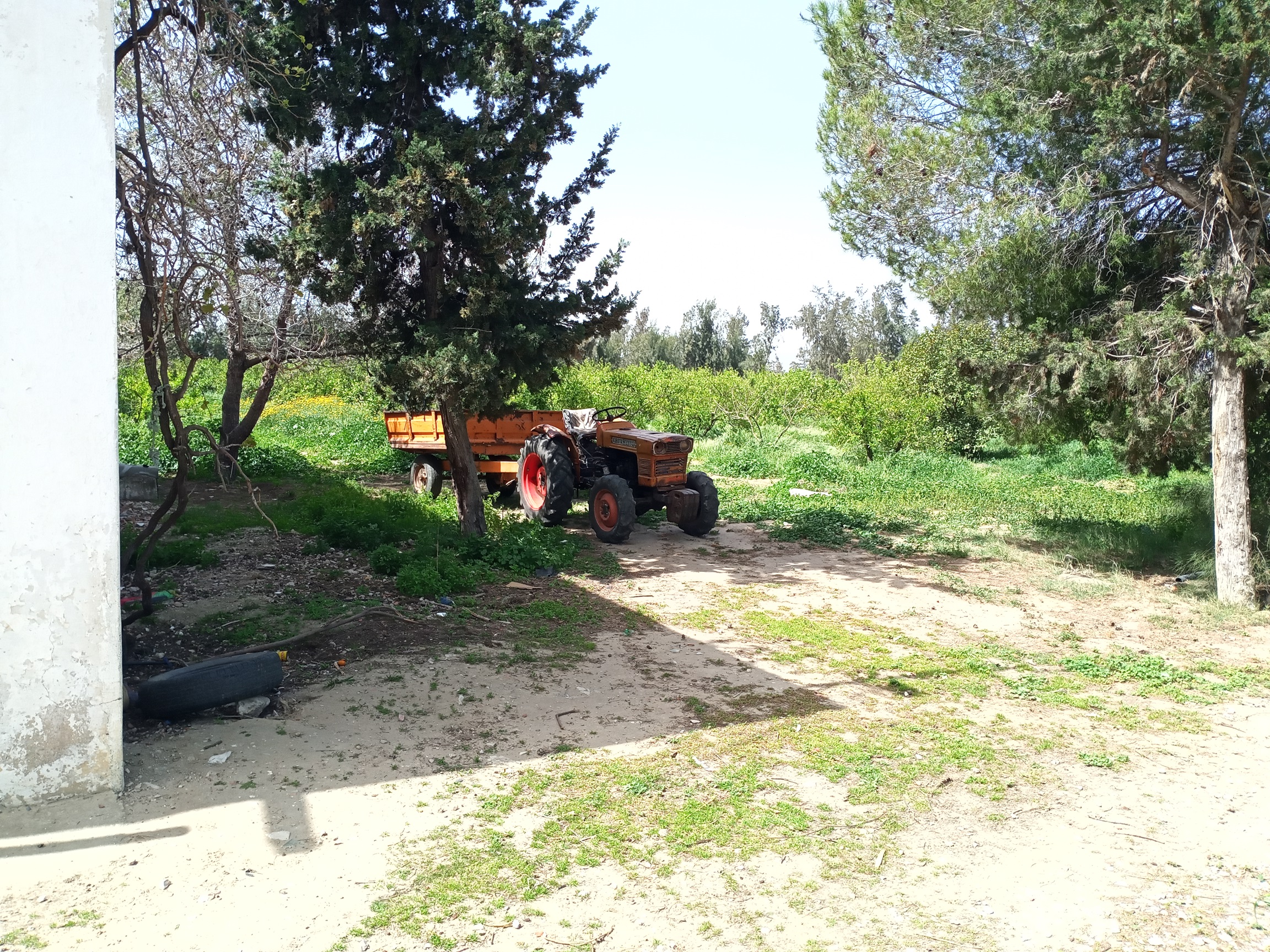 Terrain&nbsp;Terrain agricole