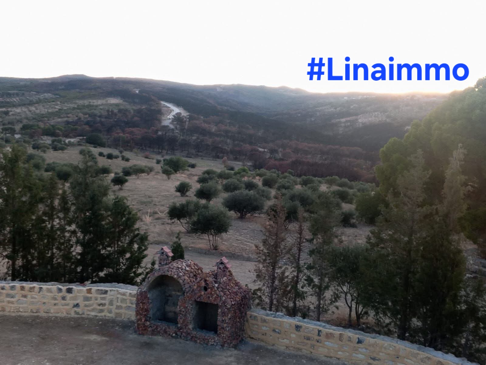 Terrain&nbsp;Terrain nu