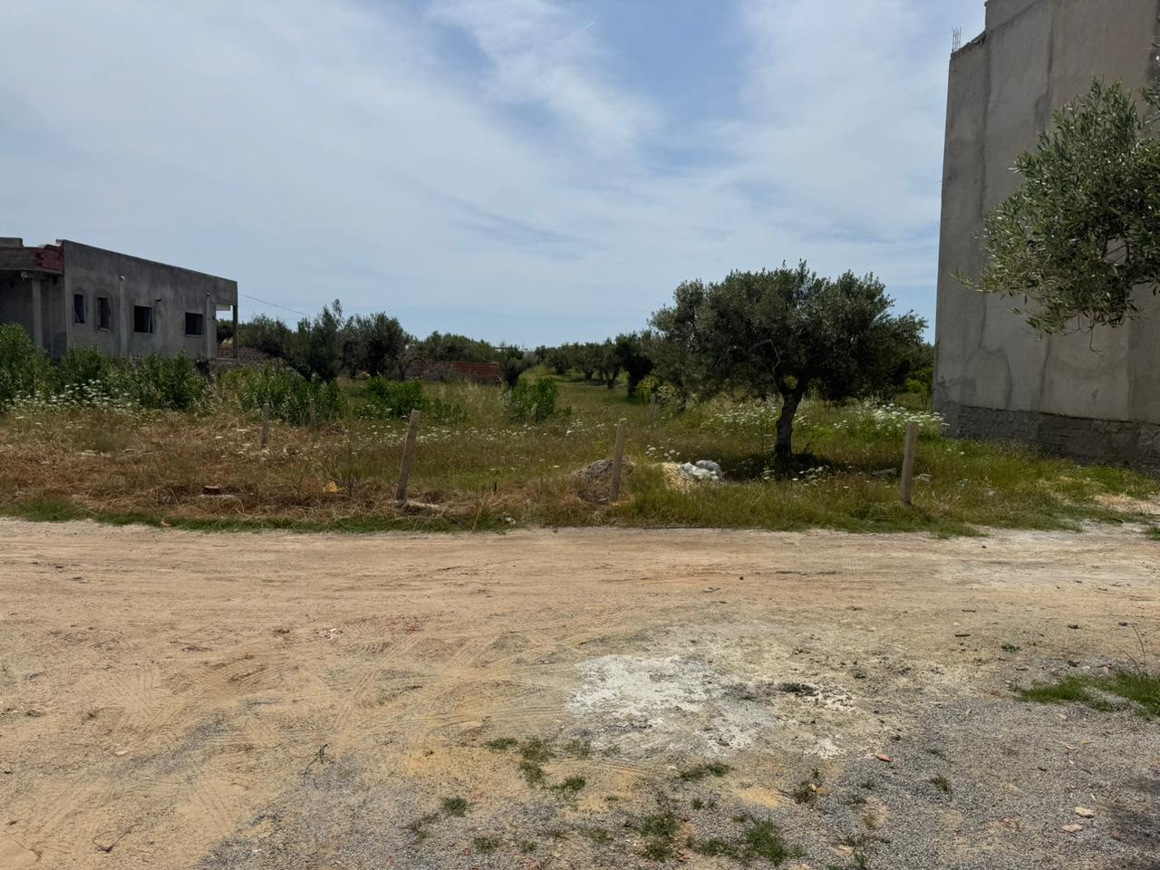 Hammamet&nbsp;Hammamet&nbsp;Terrain&nbsp;Terrain nu&nbsp;Terrain parfait