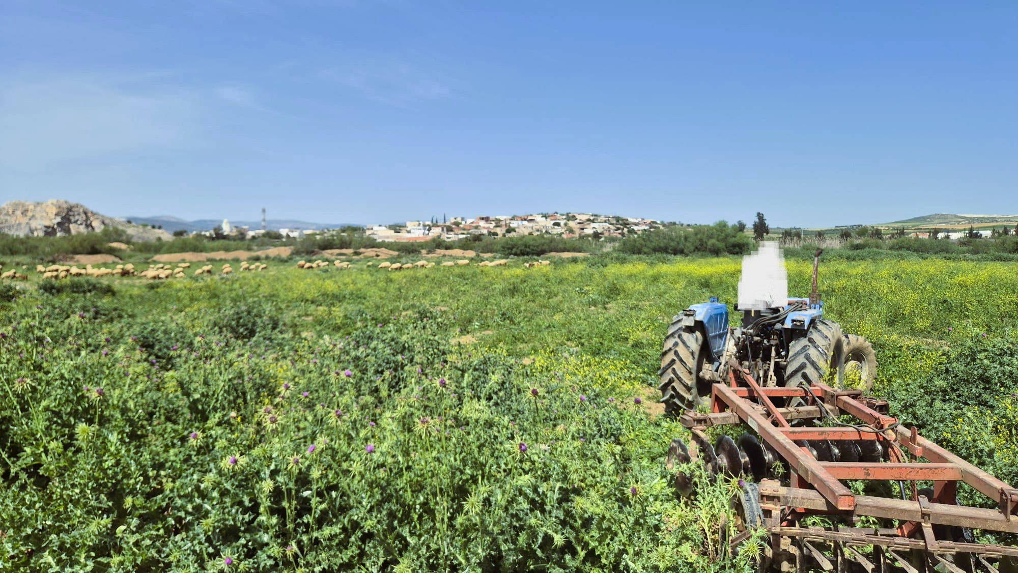 Mejez El Bab&nbsp;Mejez El Bab&nbsp;Terrain&nbsp;Terrain agricole&nbsp;Terrain agricole � medjez el bab