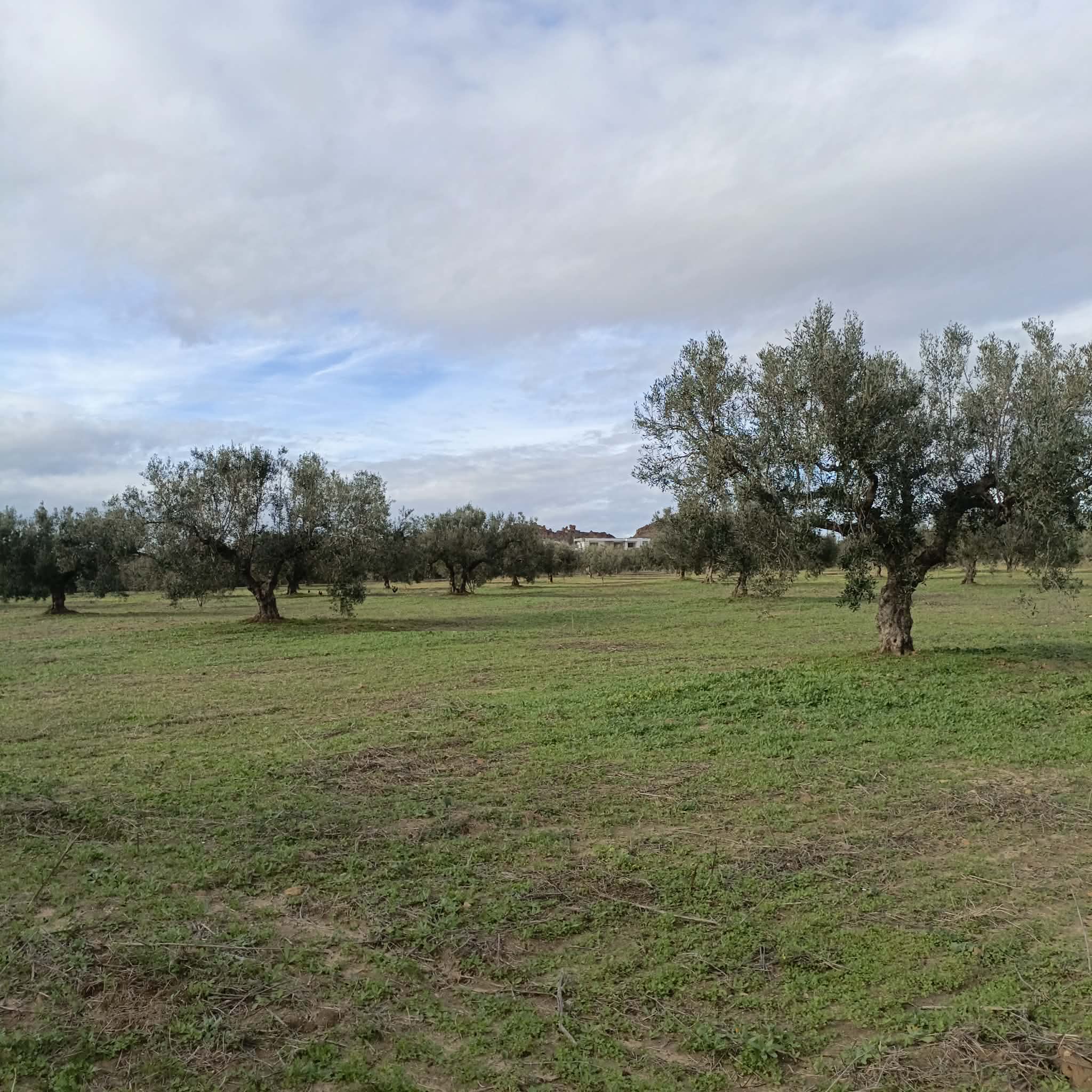 Terrain&nbsp;Terrain nu