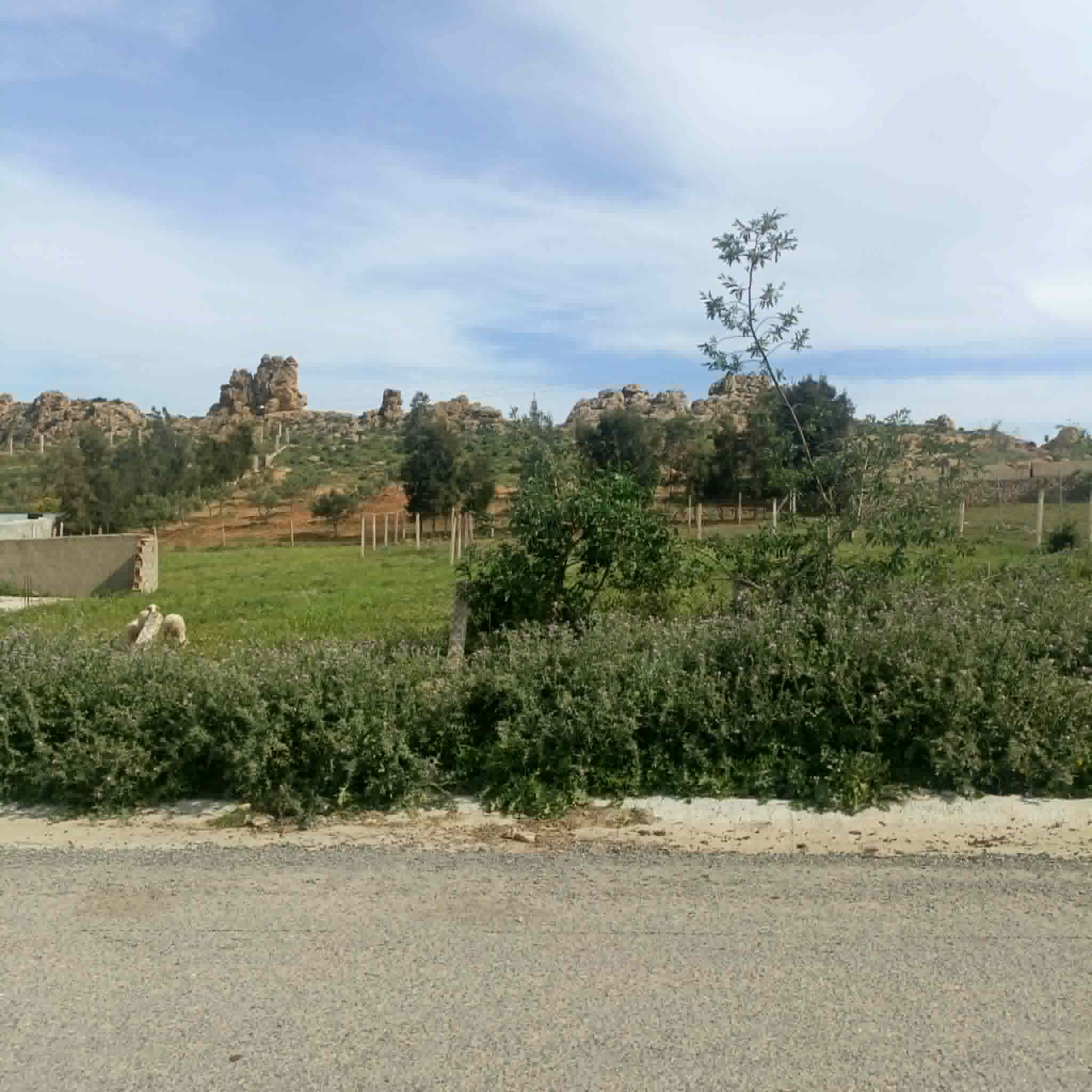 Terrain&nbsp;Terrain nu