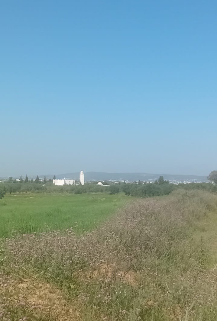 Hammamet&nbsp;Hammamet&nbsp;Terrain&nbsp;Terrain nu&nbsp;Av beau terrain de 1000m � hammamet sud