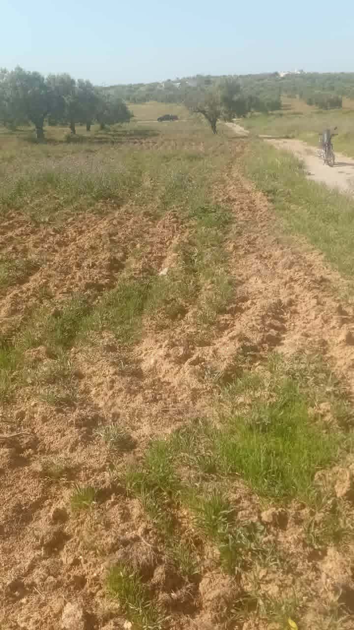 Terrain&nbsp;Terrain nu