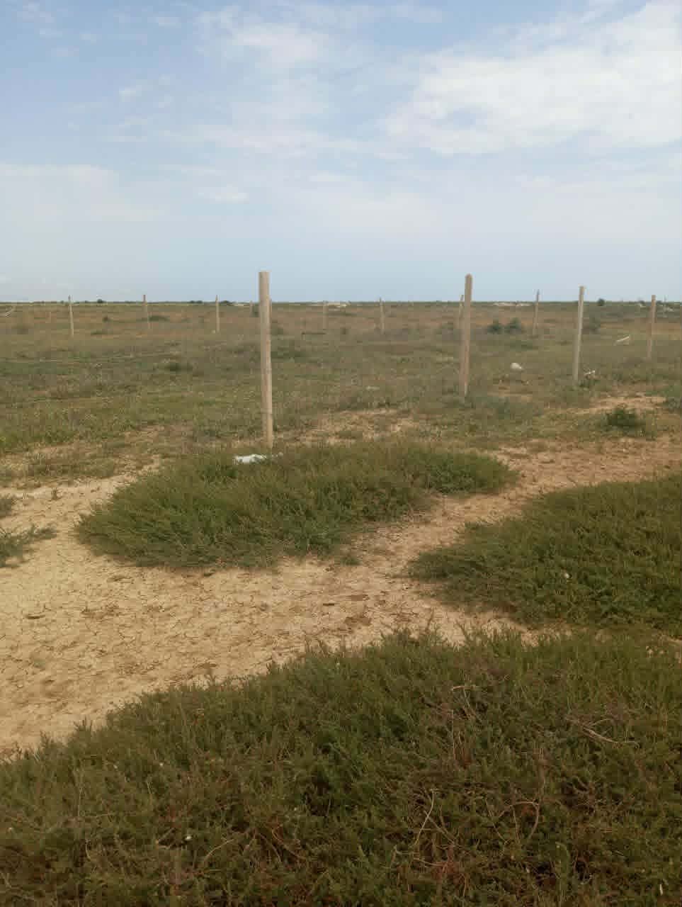 Terrain&nbsp;Terrain nu